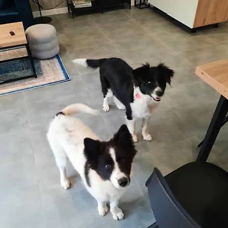 Дом отдыха Na Skraju - - Rekreacyjne Lokal C *