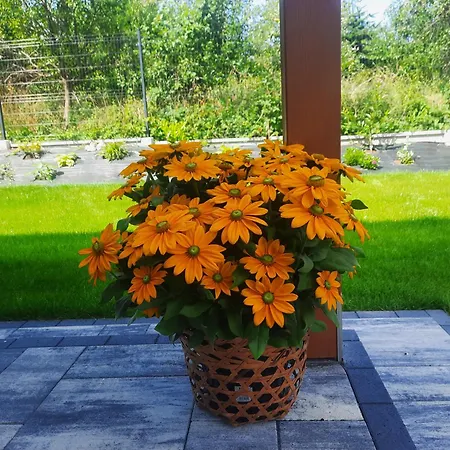 Дом отдыха Na Skraju - - Rekreacyjne Lokal C *