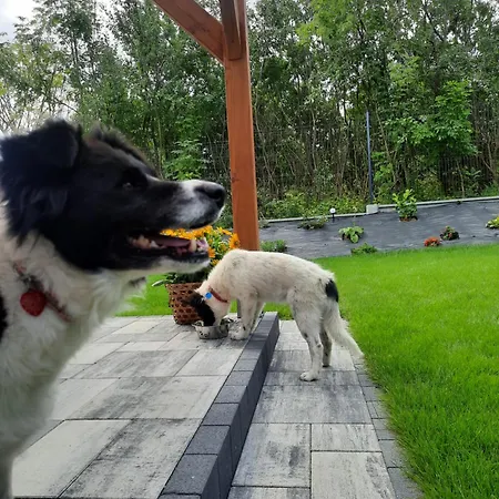 Na Skraju - - Rekreacyjne Lokal C Дом отдыха Погожелица